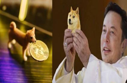 Elon Musk says dogecoin suitable daily exchange more than Bitcoin