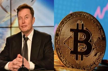 Elon Musk have about 2 billion dollar in bitcoin end of 2021