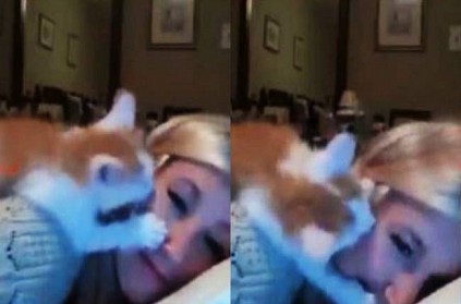 Cute Cat disturbs girl talking in video call viral video