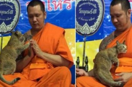 Friendly feline tests Buddhist monk\'s patience video goes viral