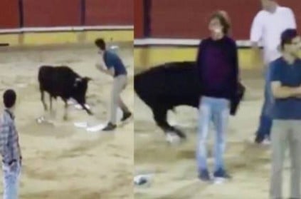 men plays musical chair with a bull video goes viral