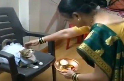 Woman take aarti to his cat TikTok video goes viral