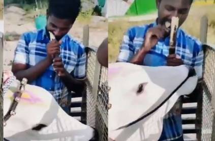 Young man give sugarcane to bull, Watch Video here