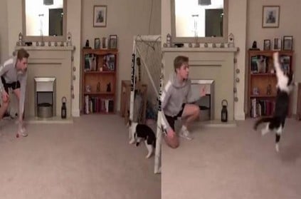 Youth play football with pet cat video goes on social media