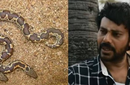 2 person arrested who tried to smuggle the sand boa snakes in Mumbai