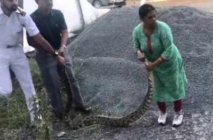 20 Kg python caught alive by wife of senior Navy officer video