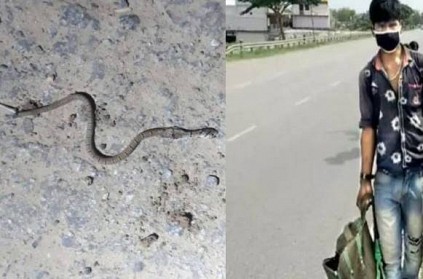 2,000km journey on foot, youth dies of snakebite after reaching home