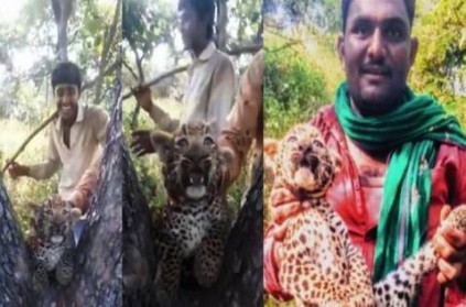 4 yougsters torture a leopard cub video goes viral