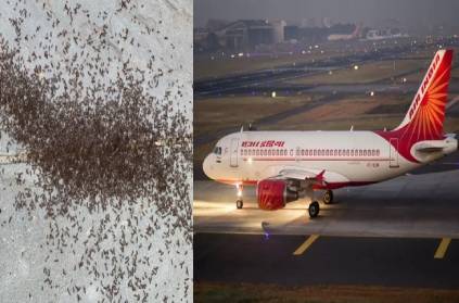 Air India has canceled a flight to London by the Ant Force.