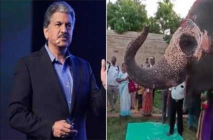 Anand Mahindra shares video of elephant celebrating her birthday