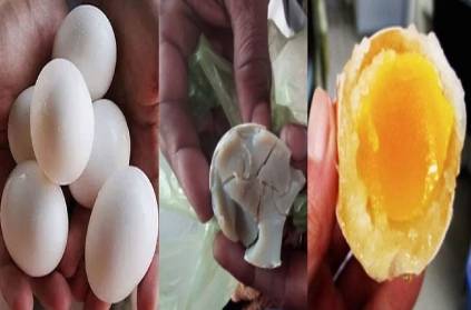 Andhra Pradesh people buying plastic eggs at low prices.