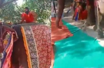 Baba Ramdev fell off from an elephant while doing Yoga on it video