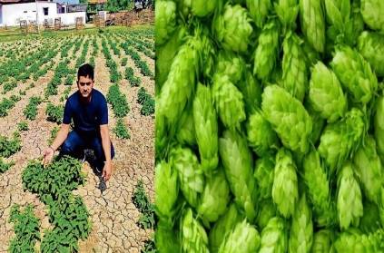 Bihar A farmer grows vegetables worth lakhs rupees