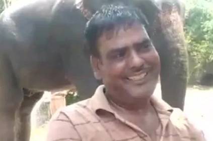 Bihar man wills his half of his property to his elephants