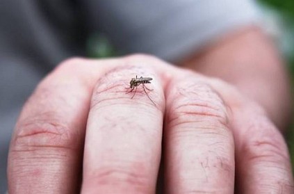 Can mosquitoes spread Coronavirus? Health Ministry Clarification