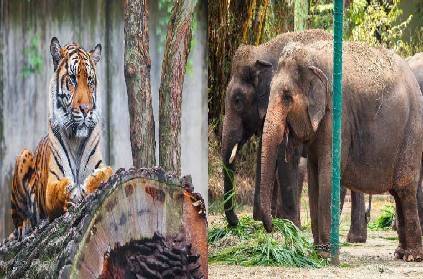 center alerts all zoological parks for surveillance amid covid19