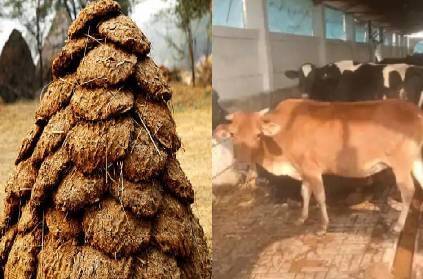 chattisgarh cow dung stolen from village theft case police