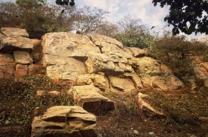 Chennai man offers Govardhana Hill stones online, UP cops arrested