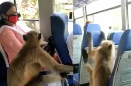 crazy monkey takes a bus ride along with other passengers video