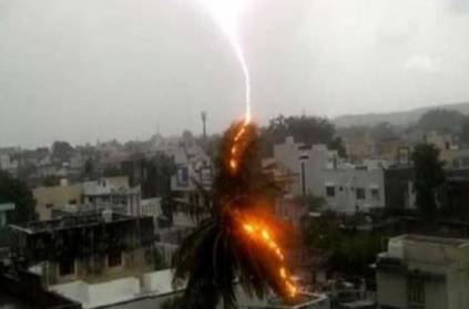 CycloneNisarga: Lightning strikes a tree Video goes Video