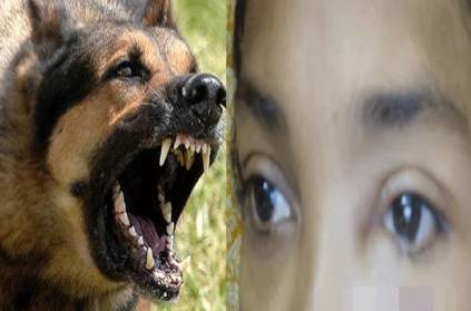 delhi ayurvedic spa salon owner dog attack massage staff demanding sal