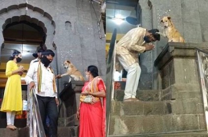 Dog shakes hands, blesses devotees at temple goes viral