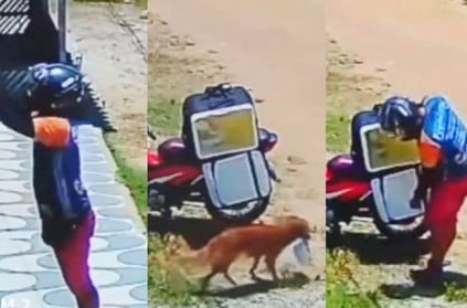 dog takes food delivery boy confused video viral
