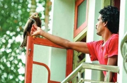 Eagle visit Kerala man\'s house daily, Interesting reason