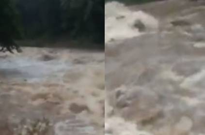 elephant swept in Periyar river, Idukki Kerala Rain Flood Video