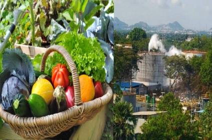Experts declare don\'t eat fruits, vegetables in Visakhapatnam