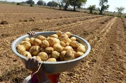 farmers in a fizz as pepsico files suit over potato IPR violation