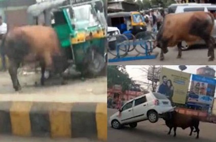 Furious bull smashes up car in bihar, video goes viral