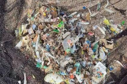 goa fishermen catch nets more plastic than fish shocking sea ocean