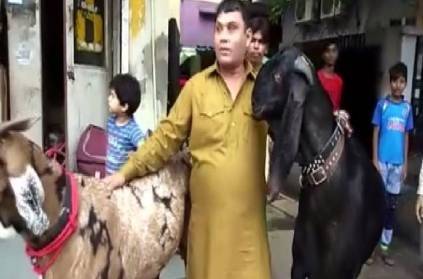 Goat weighing 175 kg and is priced at whopping Rs 5 lakh