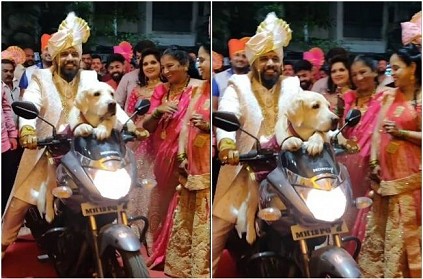 Groom Entry with pet dog to marriage hall video goes viral