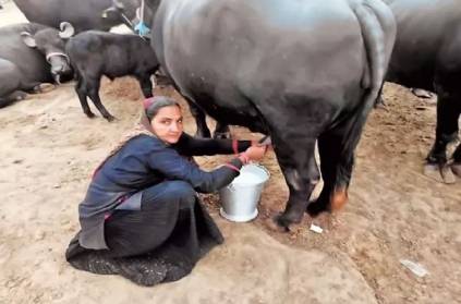 Gujarat grandmother sold milk for Rs 1.10 crore last year