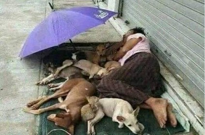 Homeless man shares his tiny mattress with seven stray dogs