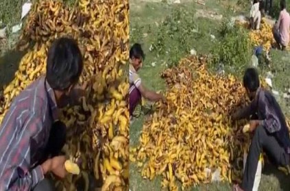 Hungry migrant workers eat rotten bananas at Delhi cremation ground