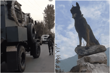 Indian Army dog Zoom critically injured while fighting terrorists