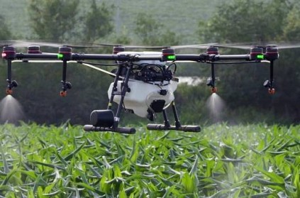 Insecticide is being sprayed by drone to destroy locusts