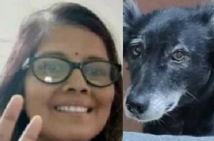 Kanpur dog jumps to death after doctor owner dies