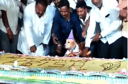 Karnataka man celebrated his dog birthday with 100kg cake and feast