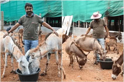 Karnataka Man Starts Donkey Farm After Quitting IT Job
