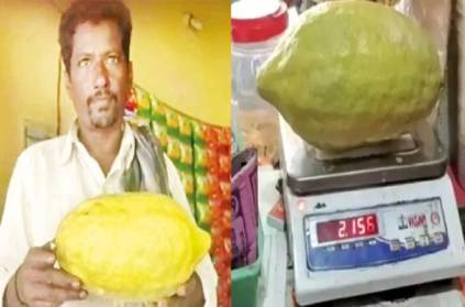 Karnataka the big lemon fruit weight whopping 2 kg