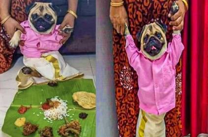 Kerala couple advertises marriage to a male dog their home