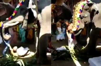 Kerala: Elephant in Temple Knocks Down Man, Removes his Clothes