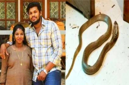 Kerala husband killed wife biting snake for insurance money