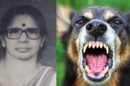Kerala : Retired Teacher mauled to death by stray dog in Alappuzha