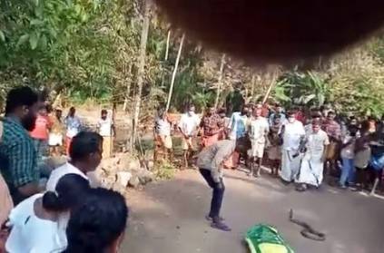 Kerala Snake rescuer Vava Suresh bitten by cobra in Kottayam