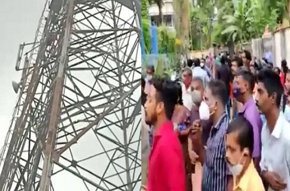 kerala woman climbs mobile tower end in wasp attack